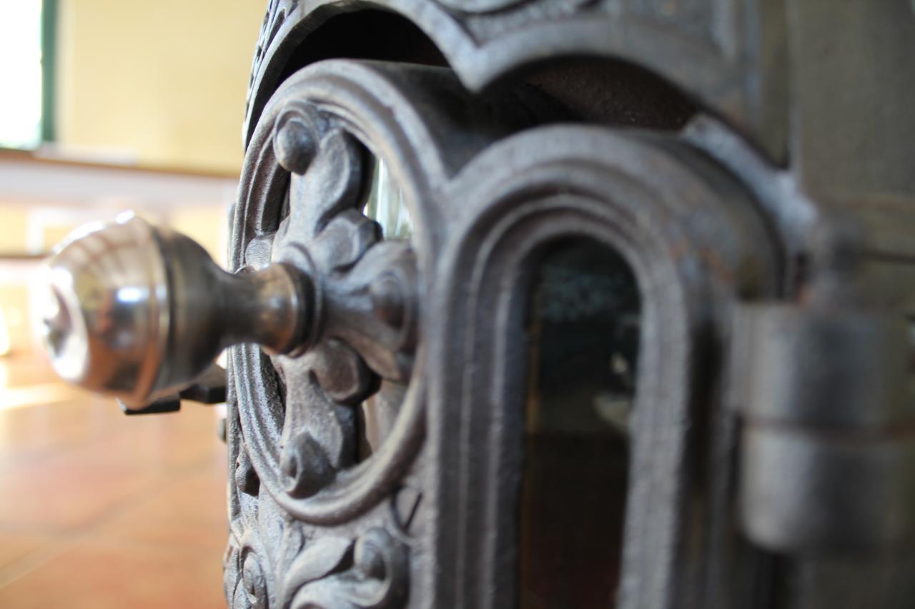 בולטנהאגן Ferienhaus "Sandduene No.19" מראה חיצוני תמונה